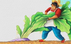 Củ cải Chúa