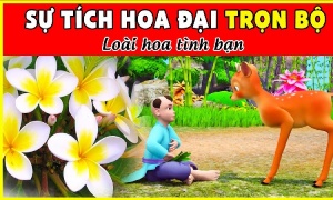 Sự Tích Hoa Đại