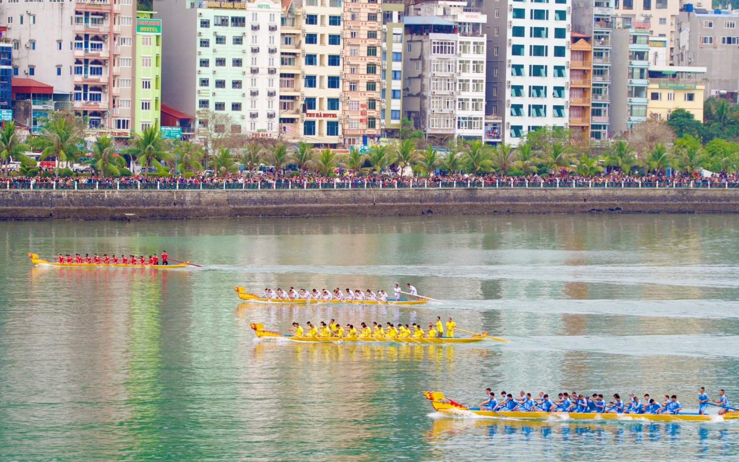 Đua thuyền ròng