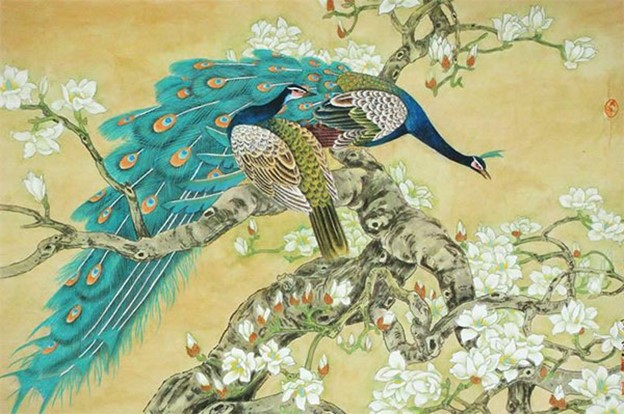 Chim công và họa mi