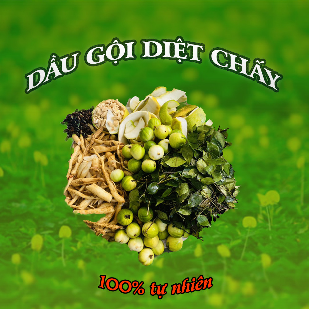 Cuộc thi khoa học kĩ thuật - Bộ sản phẩm diệt chấy từ tự nhiên